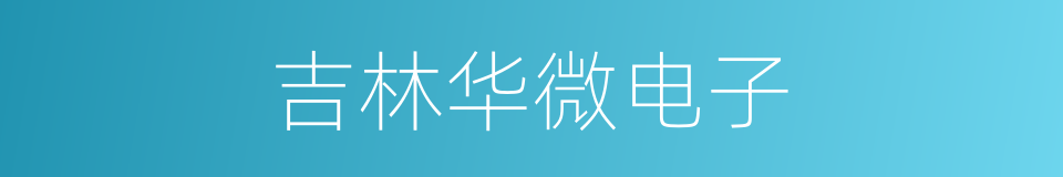吉林华微电子的同义词