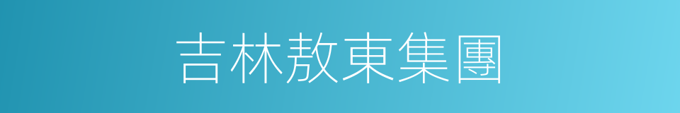 吉林敖東集團的同義詞