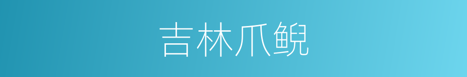 吉林爪鲵的同义词