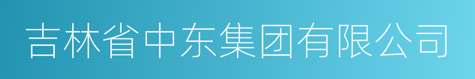 吉林省中东集团有限公司的同义词