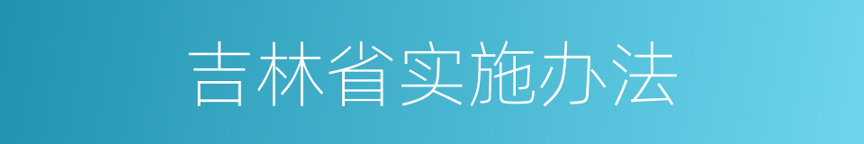 吉林省实施办法的同义词