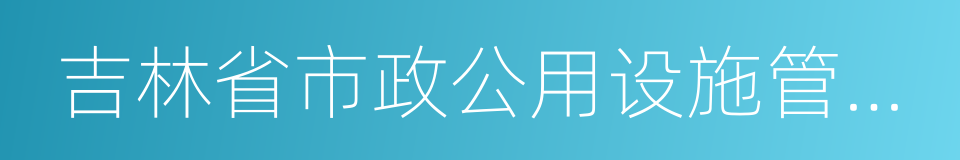 吉林省市政公用设施管理条例的同义词