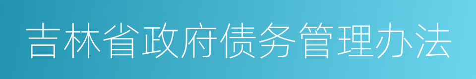 吉林省政府债务管理办法的同义词