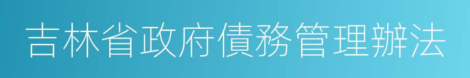 吉林省政府債務管理辦法的同義詞