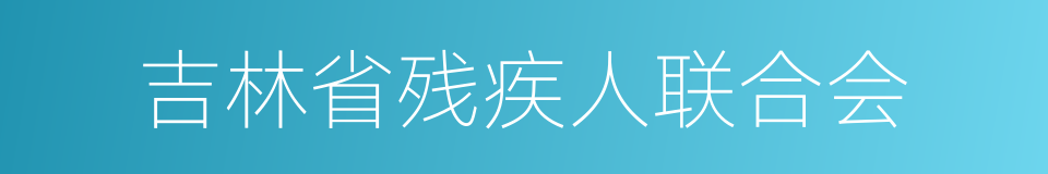 吉林省残疾人联合会的同义词