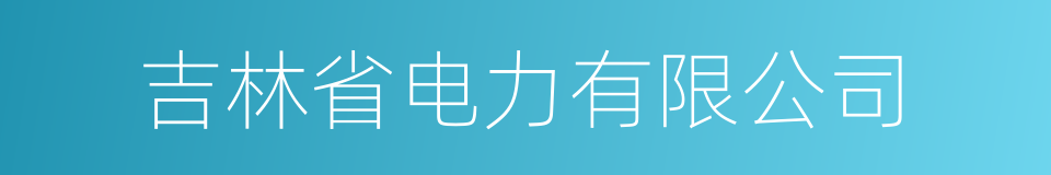 吉林省电力有限公司的同义词