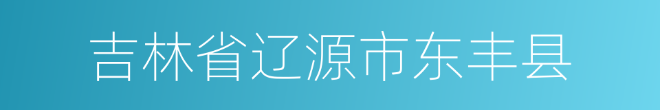 吉林省辽源市东丰县的同义词