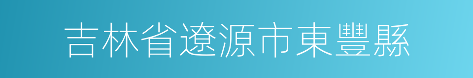 吉林省遼源市東豐縣的同義詞