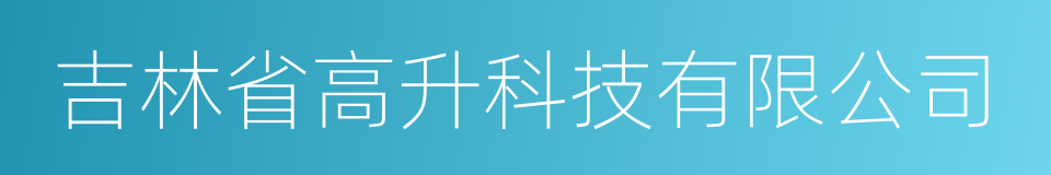 吉林省高升科技有限公司的同义词