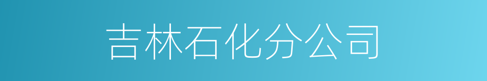 吉林石化分公司的同义词