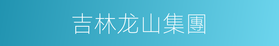 吉林龙山集團的同義詞