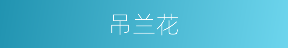 吊兰花的同义词
