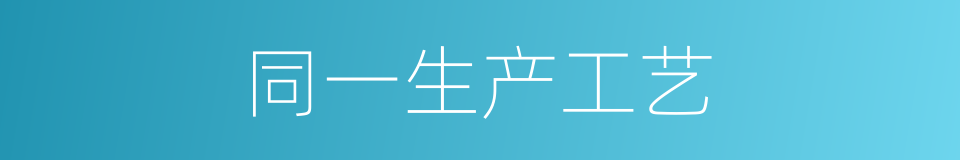 同一生产工艺的同义词