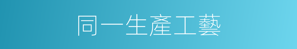 同一生產工藝的同義詞