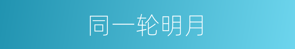 同一轮明月的同义词