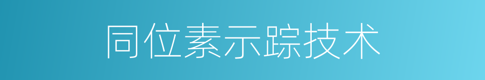 同位素示踪技术的同义词