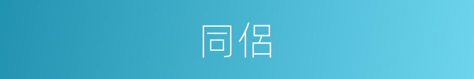 同侶的意思