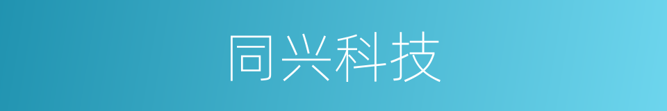 同兴科技的同义词