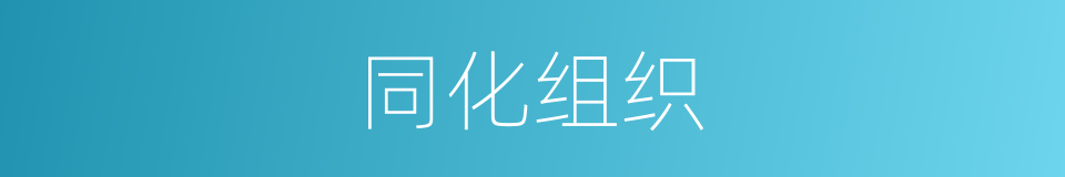 同化组织的同义词
