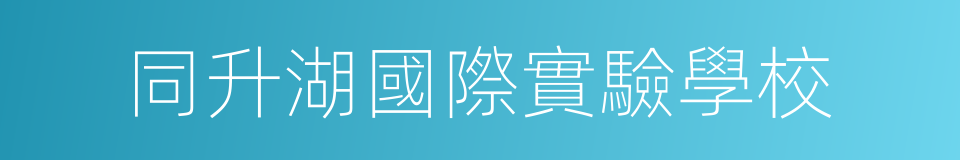 同升湖國際實驗學校的同義詞