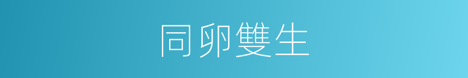 同卵雙生的同義詞