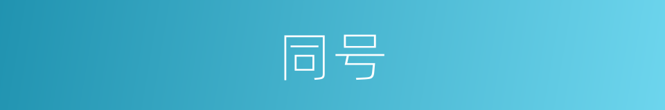 同号的意思
