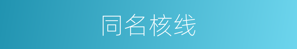 同名核线的同义词