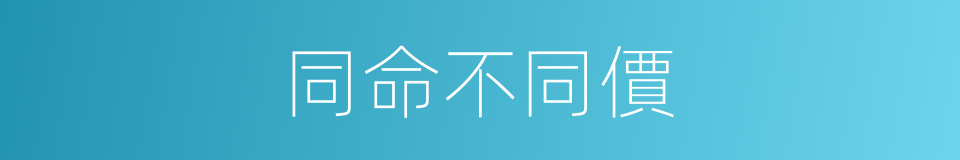 同命不同價的同義詞