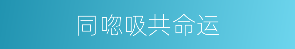 同唿吸共命运的同義詞