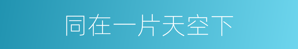 同在一片天空下的同义词