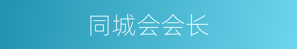 同城会会长的同义词