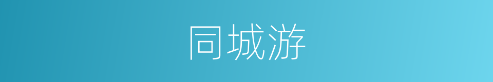 同城游的同义词