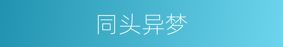 同头异梦的同义词