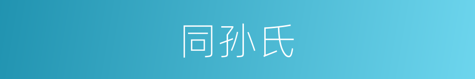 同孙氏的同义词