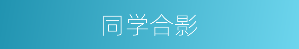 同学合影的同义词