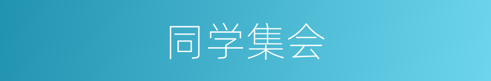 同学集会的同义词