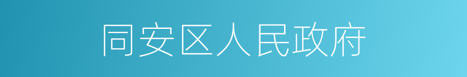 同安区人民政府的同义词