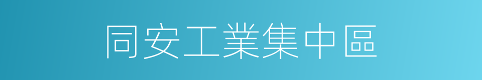 同安工業集中區的同義詞