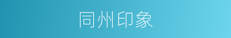 同州印象的同义词