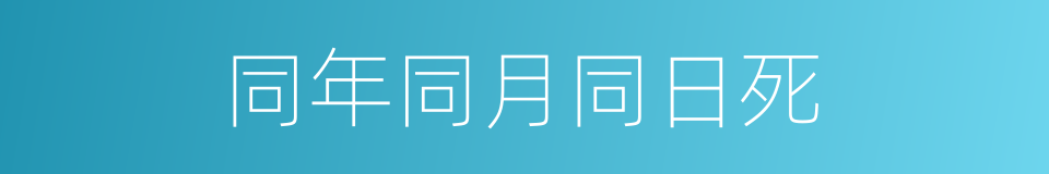 同年同月同日死的同义词