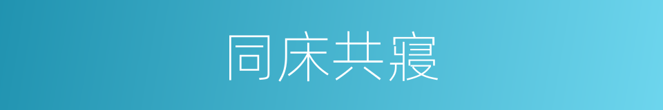 同床共寢的意思