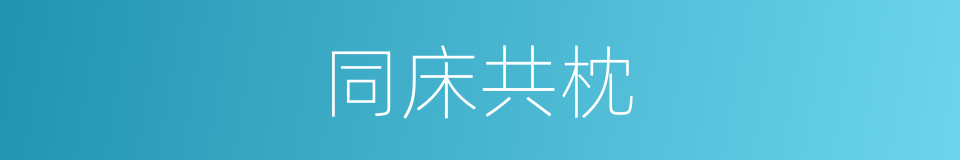 同床共枕的意思