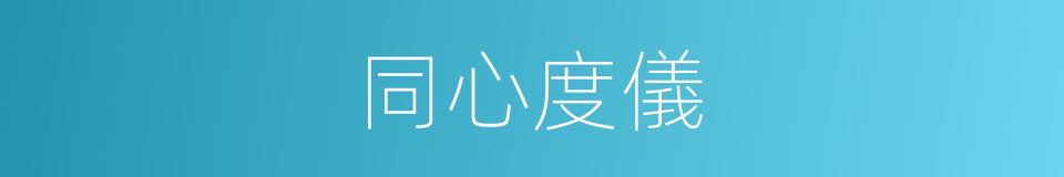 同心度儀的同義詞
