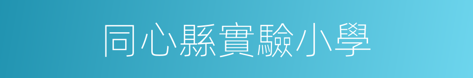 同心縣實驗小學的同義詞