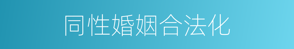 同性婚姻合法化的同义词