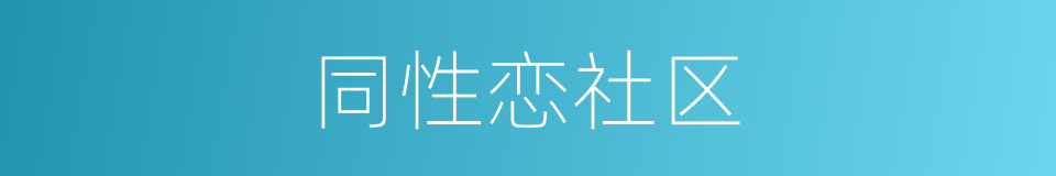 同性恋社区的同义词