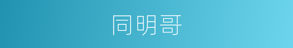 同明哥的同义词
