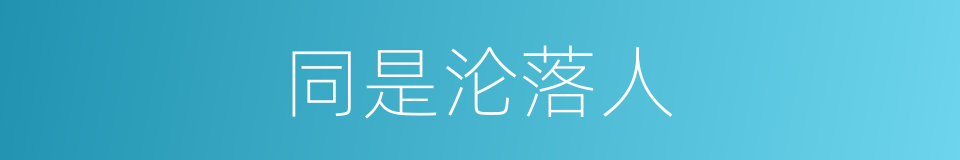同是沦落人的同义词