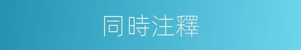 同時注釋的意思