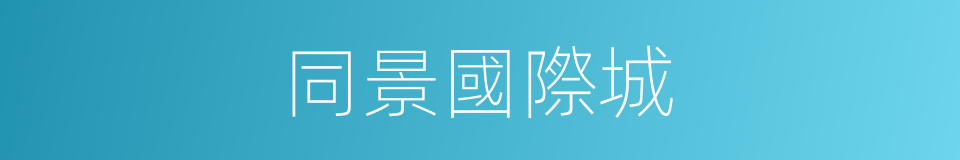 同景國際城的同義詞